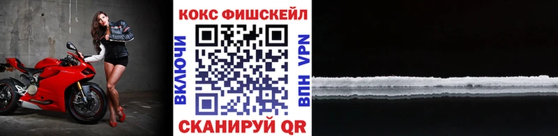 купить закладку  Томилино  Кокаин Fish Scale 