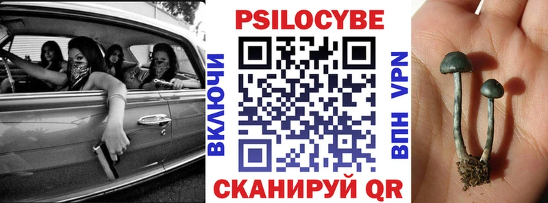 где продают   МЕГА как войти  Псилоцибиновые грибы MAGIC MUSHROOMS  Томилино 