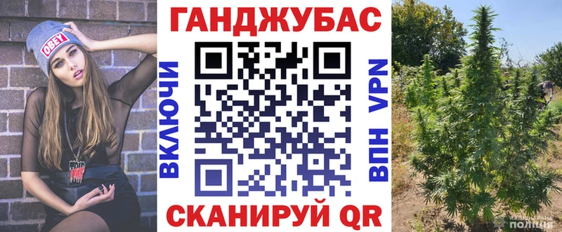Каннабис гибрид  Томилино 